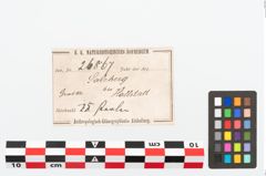 Etikett zu Glasaugenperle (NHMW-PRAE-026867)